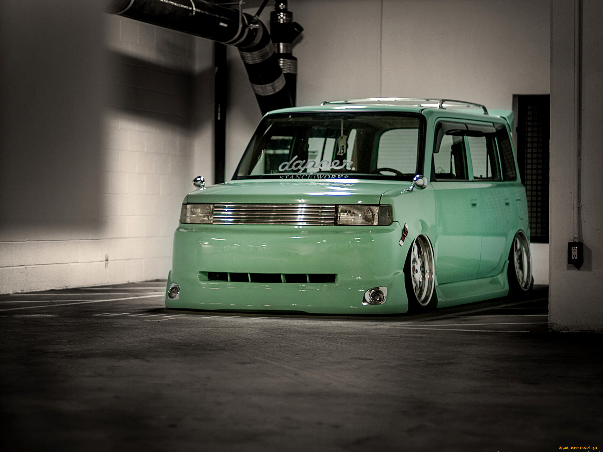 , scion